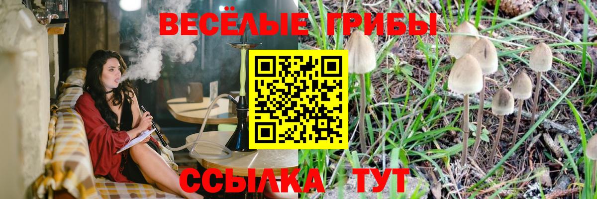 Галлюциногенные грибы Psilocybe  Вход с VPN  Галлюциногенные грибы Magic Shrooms  Долгопрудный 